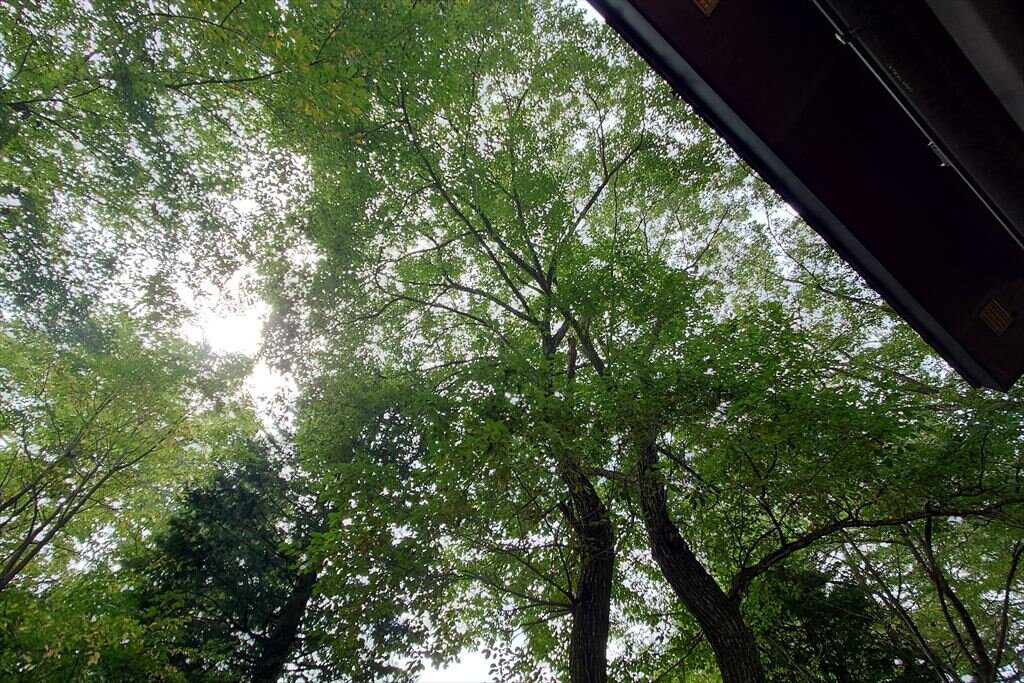 https://hayashida.jp/o/images2019-/20251015_103358_R.JPG