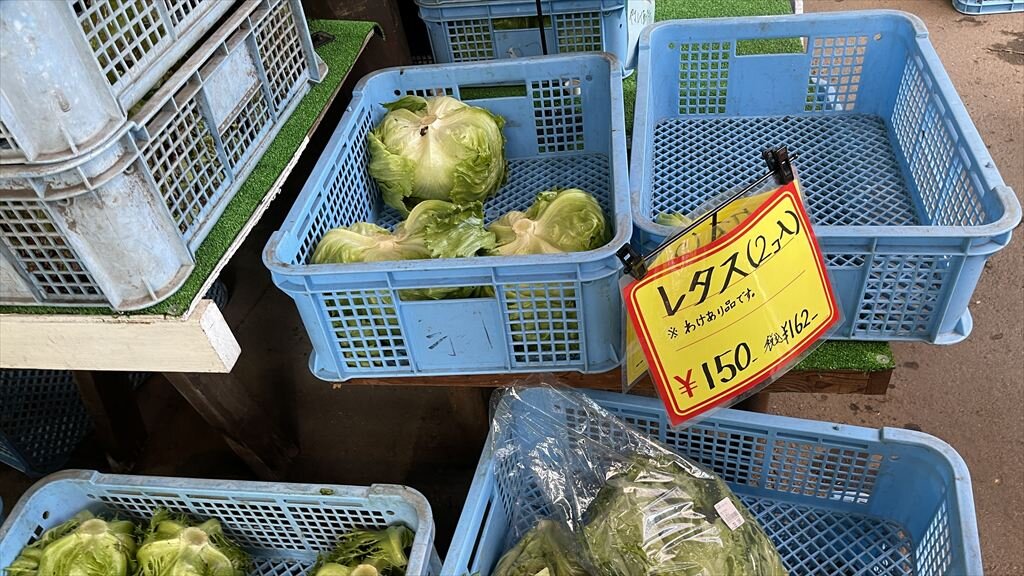 https://hayashida.jp/o/images2019-/IMG_7514_R.JPG