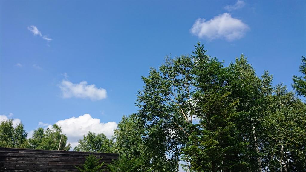 https://hayashida.jp/o/images2019-/ed75db1297892fc62cae6b4e502c1788490acbaf.JPG