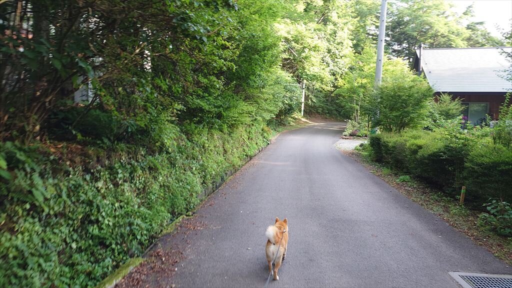 https://hayashida.jp/o/images2019-/f537fbcda4819f33b946d74cd34047f7aacd727e.JPG