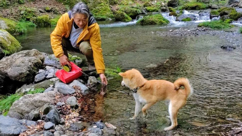 https://hayashida.jp/o/images2019-/original_f1868cbf-5d31-425a-98a9-9323efc2ba1e_1746418352547.jpg